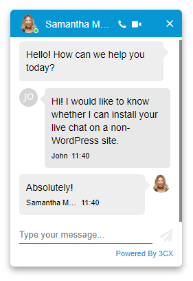 Live Chat Plugin Supports any CMS-2